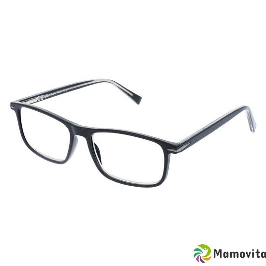 Invu reading glasses 2.50dpt B6217g buy online