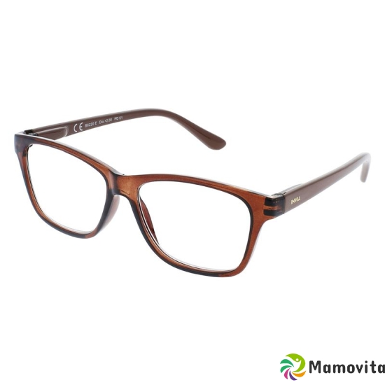 Invu reading glasses 1.00dpt B6220a buy online