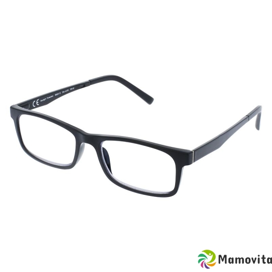 Invu reading glasses 2.50dpt B6221g buy online