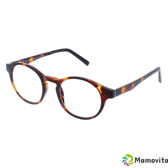 Invu reading glasses 2.50dpt B6222g buy online