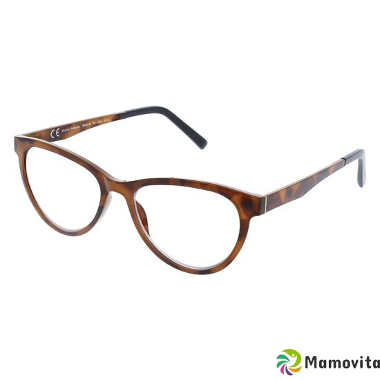 Invu reading glasses 3.50dpt B6223l buy online