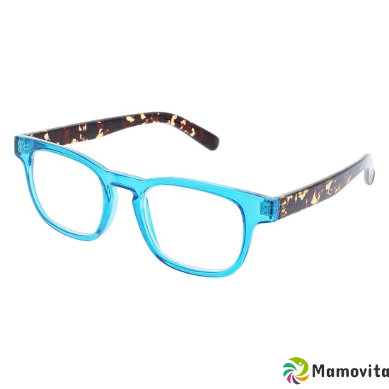 Invu reading glasses 2.00dpt B6225e buy online