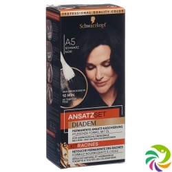 Schwarzkopf Ansatzset A5 Schwarz Flasche 22ml