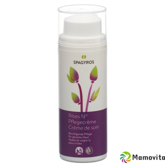 Spagyros Ribes N Pflegecreme Dispenser 50ml buy online