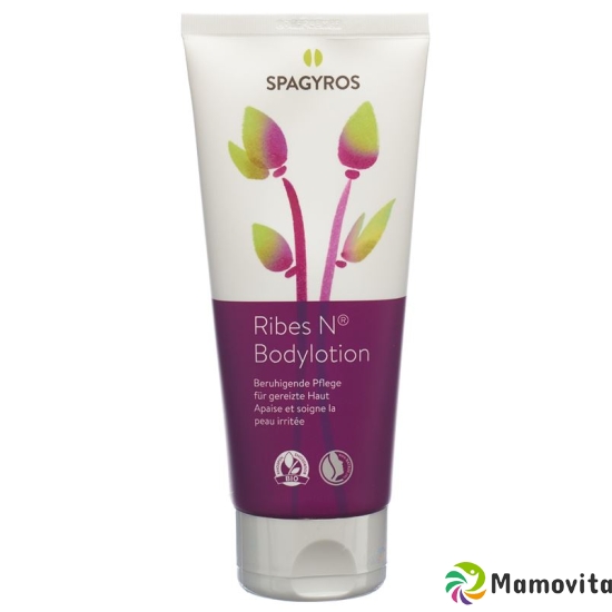 Spagyros Ribes N Bodylotion Tube 200ml buy online