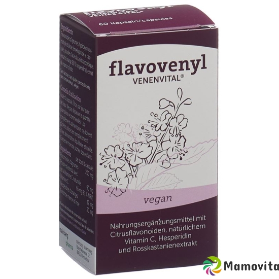 Flavovenyl Venenvital Kapseln Flasche 60 Stück buy online