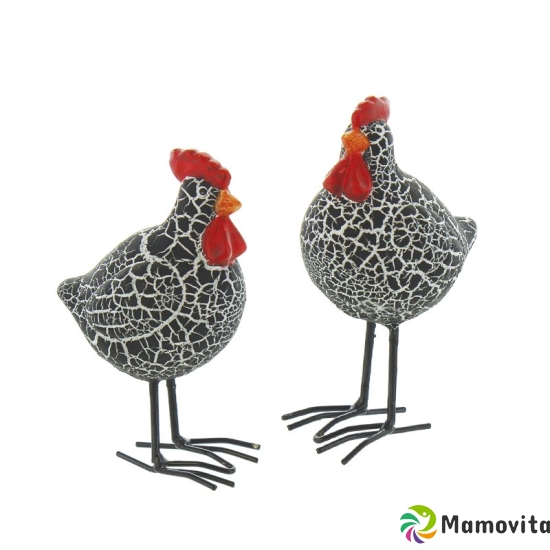 Herboristeria Decoration Chicken Bromo Standing buy online