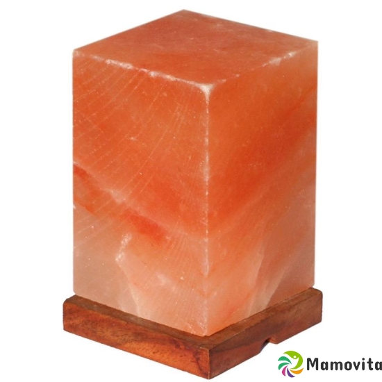 Naturgut Crystal Salt Lamp Feng Shui Electric 3-4kg buy online