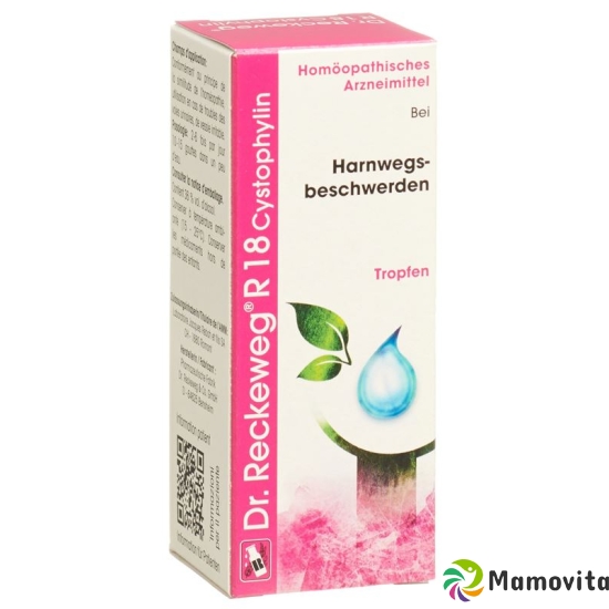 Reckeweg R18 Cystophylin Tropfen Flasche 50ml buy online