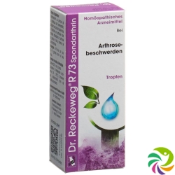 Reckeweg R73 Spondarthrin Tropfen Flasche 50ml