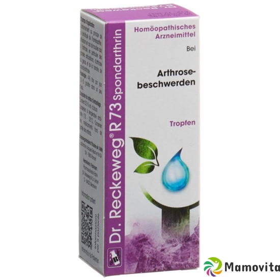 Reckeweg R73 Spondarthrin Tropfen Flasche 50ml buy online