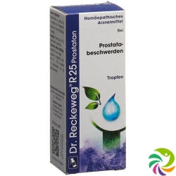 Reckeweg R25 Prostatan Tropfen Flasche 50ml