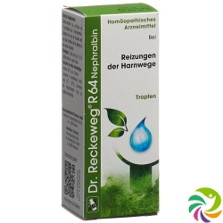 Reckeweg R64 Nephralbin Tropfen Flasche 50ml