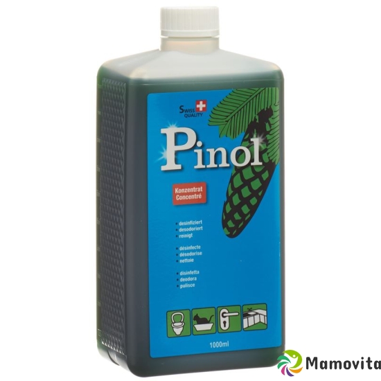 Pinol Liquid Flasche 1L buy online