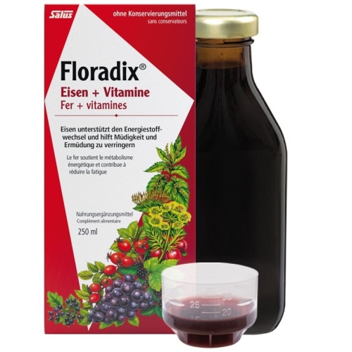 Floradix vitamins + organic iron Juice bottle 250ml buy online