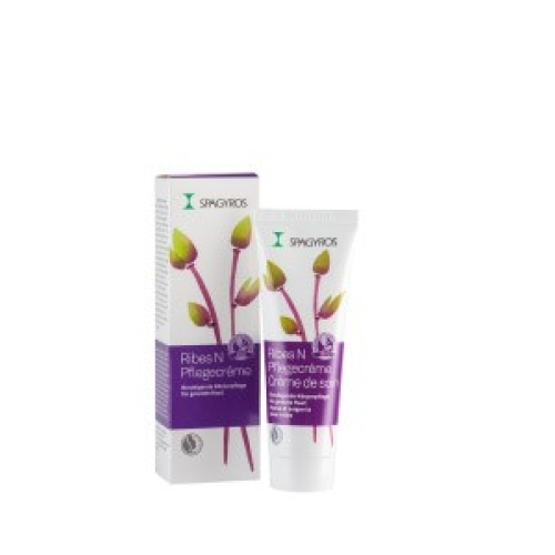 Spagyros Ribes N cream Tb 50 ml buy online