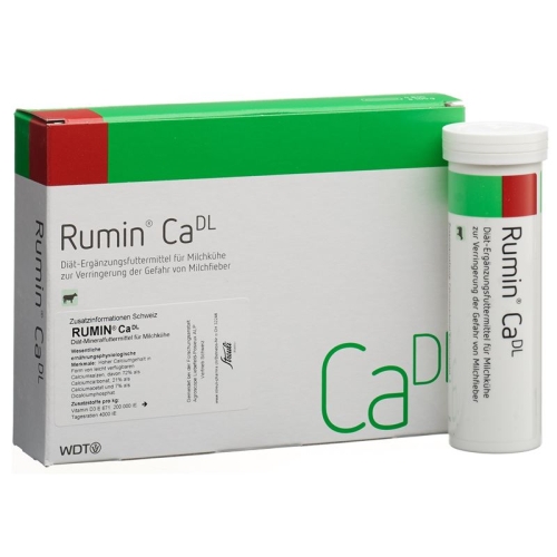 Rumin Ca 4x 105g buy online