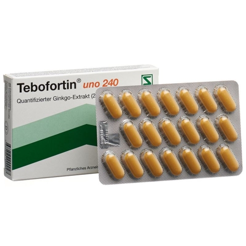 Tebofortin Uno 240 Filmtabletten 240mg 40 Stück buy online