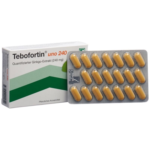 Tebofortin Uno 240 Filmtabletten 240mg 60 Stück buy online