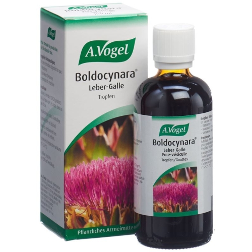 Vogel Boldocynara Leber-Galle Tropfen Flasche 100ml buy online