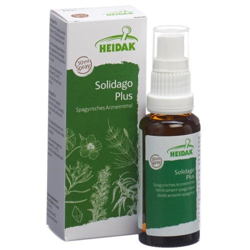 Heidak Spagyrik Solidago Plus Spray Flasche 30ml buy online