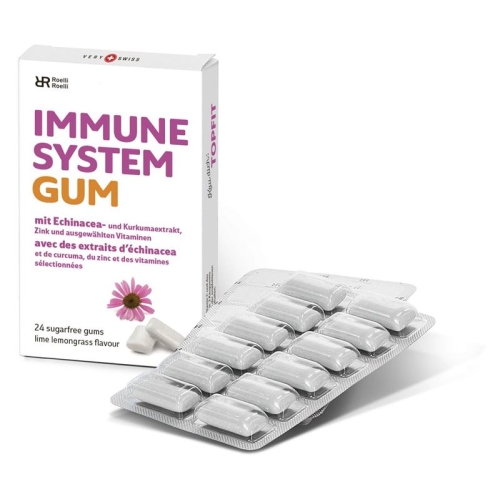 R&r Immune System Gum 10x 24 Stück buy online