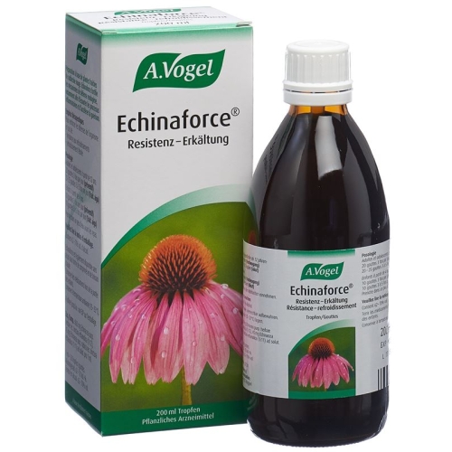 A.Vogel Echinaforce resistance cold drops Fl 200 ml buy online