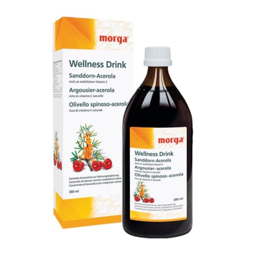 Morga Sanddorn Wellness Drink Flasche 380ml buy online