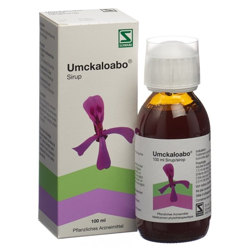 Umckaloabo Sirup Flasche 100ml buy online