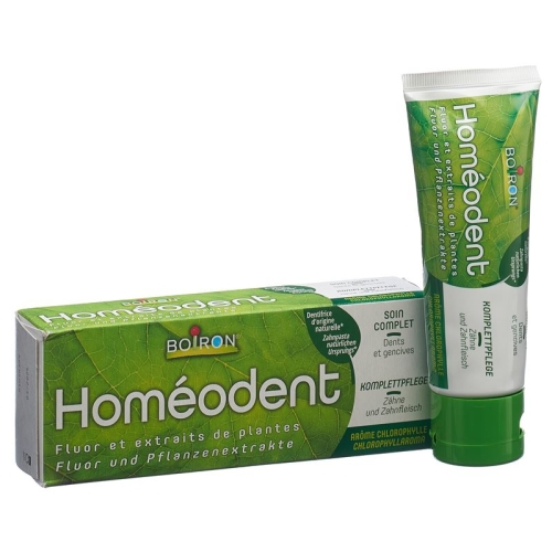 Homeodent Zahn Zahnfleischpflege Chlorophyll 75ml buy online