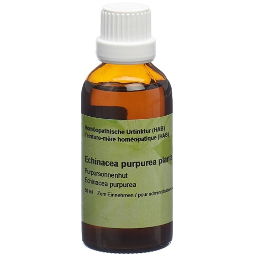 Spagyros Echinacea Purpurea Urtinkt 50ml buy online