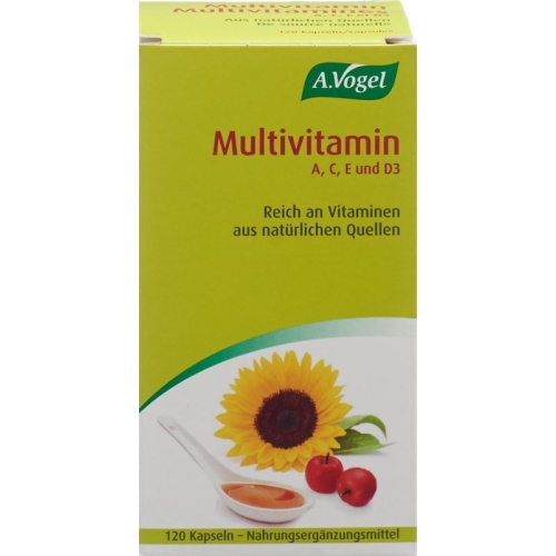 Multivitamin Kapseln 120 Stück buy online