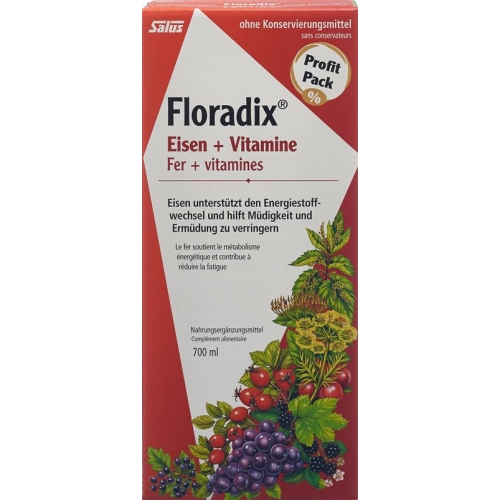 Floradix vitamins + organic iron Juice bottle 700ml buy online