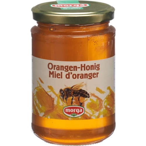 Morga Orangen Honig Glas 500g buy online