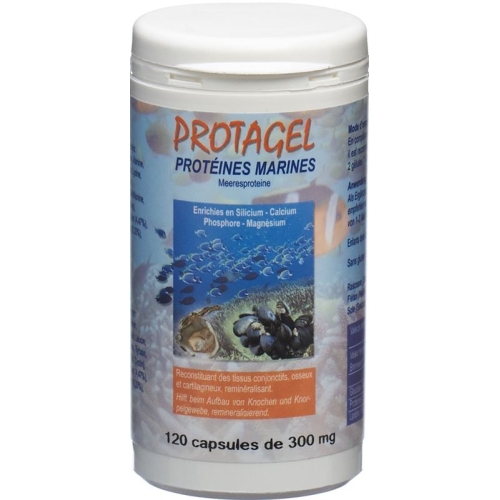 Protagel Complex Acides Amines Dose 120 Stück buy online