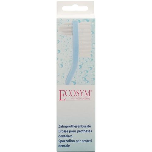 Ecosym denture brush buy online