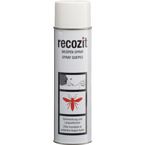 Recozit Wespen Spray 500ml buy online