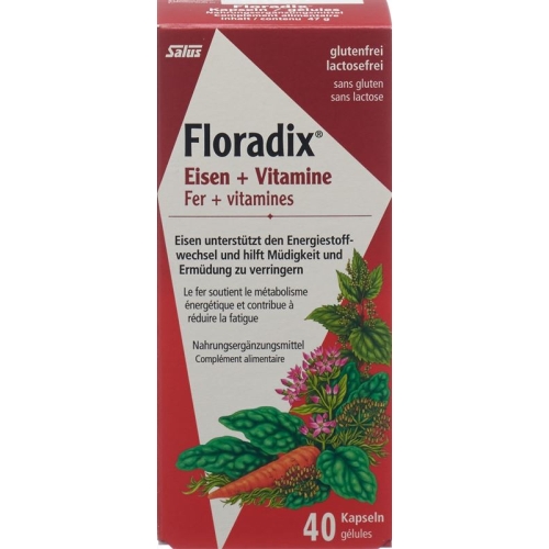 Floradix Vitamins + Organic Iron Capsules 40 Piece buy online