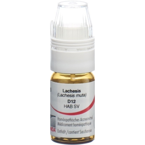 Omida Lachesis Globuli D 12 Dosierhilfe 4g buy online