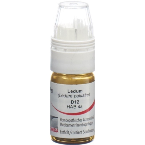 Omida Ledum Globuli D 12 Dosierhilfe 4g buy online