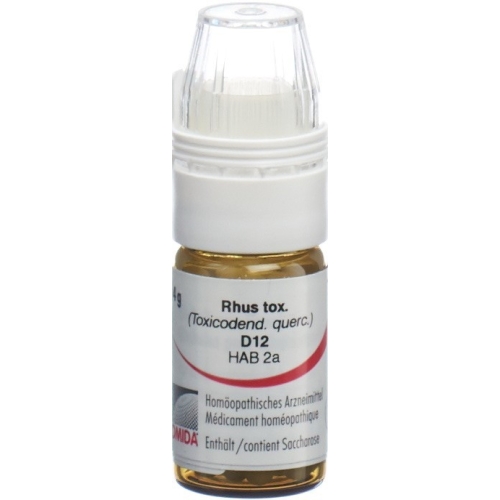 Omida Rhus Tox Globuli D 12 Dosierhilfe 4g buy online