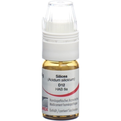 Omida Silicea Globuli D 12 Dosierhilfe 4g buy online