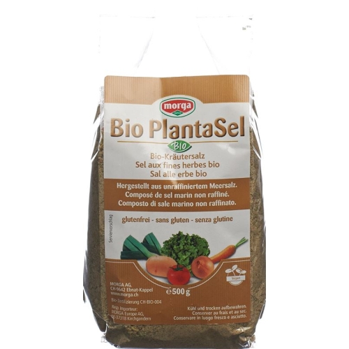 Holle Plantasel Kräutersalz Bio Beutel 500g buy online