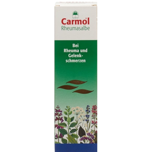 Carmol Rheumasalbe 80g buy online