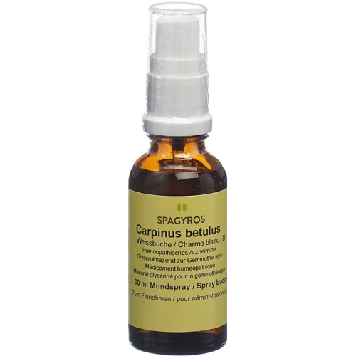 Spagyros Gemmo Carpinus Betulus Glyc Maz D 1 30ml buy online