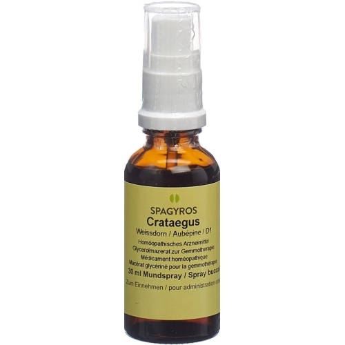 Spagyros Gemmo Crataegus Laevi Glyc Maz D 1 30ml buy online