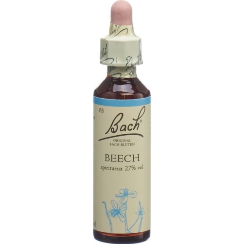 Bachblüten Beech Nr. 3 Flüssig 20ml buy online