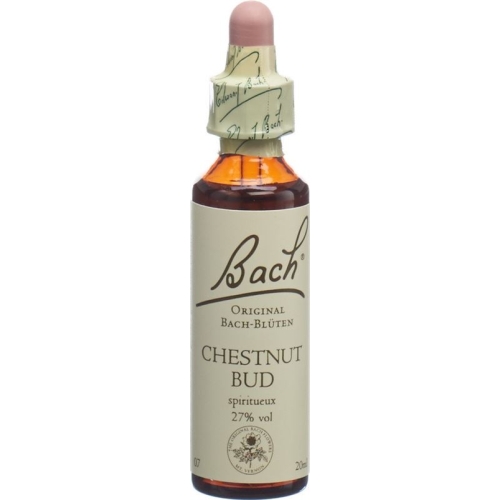 Bachblüten Chestnut Bud Nr. 7 Flüssig 20ml buy online