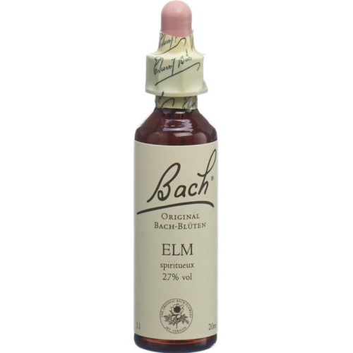 Bachblüten Elm Nr. 11 Flüssig 20ml buy online