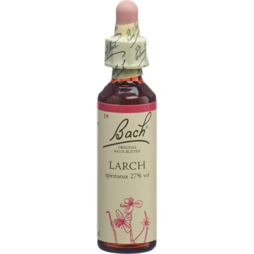 Bachblüten Larch Nr. 19 Flüssig 20ml buy online